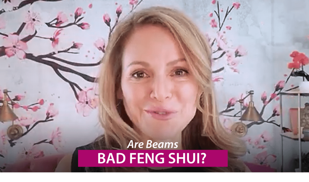 feng shui consultant