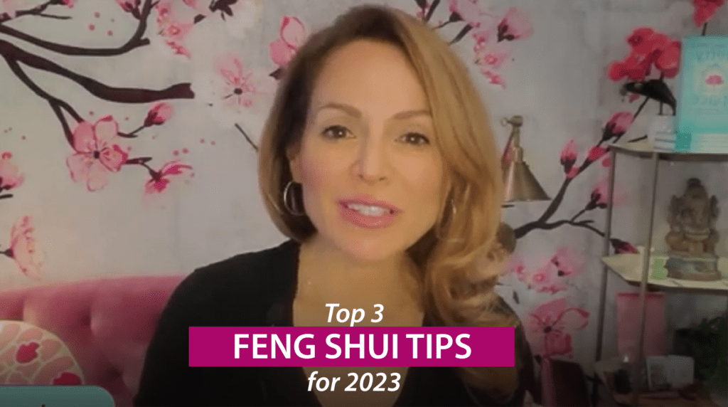 feng shui consultant